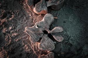 einzelne Buhne am Strand. verschnörkelte Form des Holzes. Sand und Meer um den Stamm foto