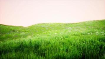 Toskana-Landschaft mit schönen grünen Hügeln im Frühling foto