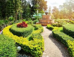 Schöner Gartengehweg, der mit Pflanzen und dem Brunnenfrühlingssommerpark geschmückt ist foto