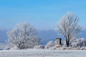 hölzerner Aussichtsturm für die Jagd in Winterlandschaft mit gefrorenen Bäumen und blauem Himmel foto