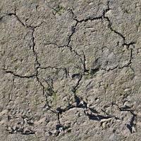 Hochauflösende nahtlose Textur eines trockenen Hektar großen Geländes mit Rissen. foto