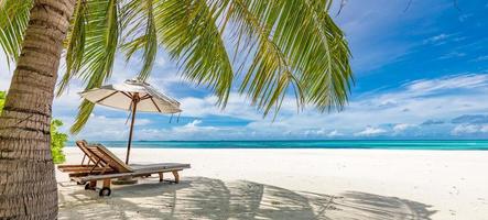 ruhige Strandszene. exotisches Panorama im tropischen Inselresort, Palmen, weißer Sand, blauer Himmel und Meer. flitterwochenziel, sommerferien oder konzeptionelle landschaft für den urlaub. Panoramalandschaft foto