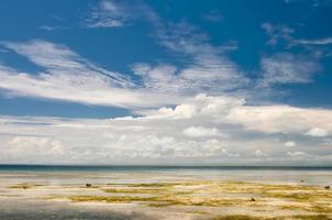 siamil sipadan, borneo, malaysia tropisches türkisfarbenes paradies foto