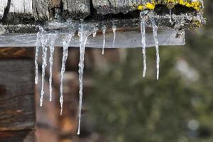 Eiskristalle auf Holzdach foto