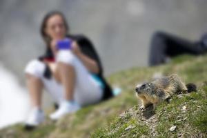 Mädchen nach einem Murmeltier foto