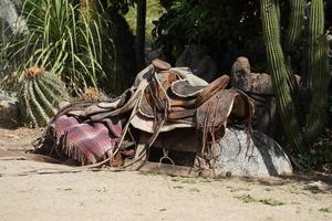 Cowboy-Pferdesattel in der Nähe eines Kaktus in Baja California, Mexiko foto