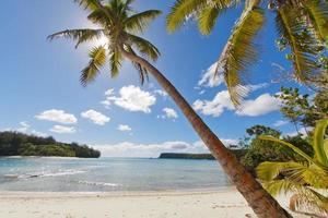 tropisches paradies polynesischer strand ozean meer kristallklarer sand