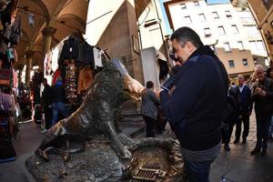 florenz, italien - 27. märz 2017 - tourist, der vermögenseberschwein in florenz berührt foto