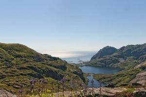 Lofoten-Insel-Norwegen-Fjordansicht foto