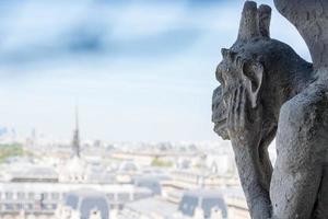 notre dame gorgoyle paris ansicht foto