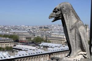 notre dame paris kathedrale statue skulptur und dach vor dem feuer foto