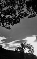 Schwarz-Weiß-Bild vertikal, Betelnuss dunkler Himmel über Ansicht hoher Kokospalme, Landschaftsberghintergrund um ländliches Gebiet. Thailand. foto