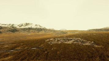 Ebene mit getrocknetem Gras und Berggipfeln im Hintergrund foto