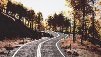 luftaufnahme der kurvigen straße im schönen herbstwald foto