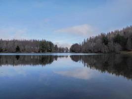 Buchenwald mit einem sehr alten Baum in Calamone Ventasso See Italien foto