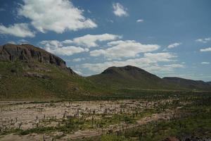 playa balandra luftaufnahme la paz baja california foto