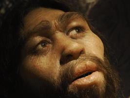 neandertaler prähistorischer mensch lucy style evolution display foto