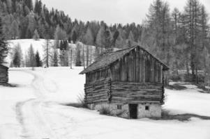 dolomites pordoi berg alpen riesige ansicht in schwarz und weiß foto