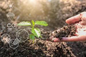 Handpflanzung von Bäumen mit Technologie aus nachwachsenden Rohstoffen zur Reduzierung der Umweltverschmutzung. ESG-Icon-Konzept, ökologische, soziale und nachhaltige Unternehmensführung. foto