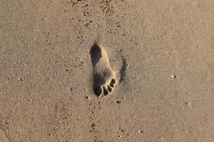 Fußspuren im Sand am Meer foto