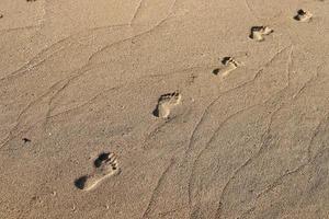 Fußspuren im Sand am Meer foto