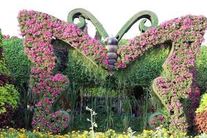 dubai vae 07 . 12 . 2022 . Pflanzen und Blumen im Wundergarten in Dubai. foto