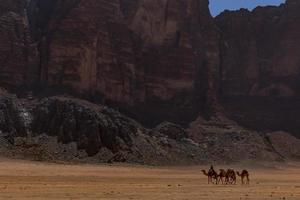 Kamele in der Wüste Wadi Rum foto