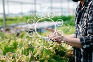 Mann übergibt Gartensalat im Bauernhof mit Wachstumsprozess und chemischer Formel auf grünem Hintergrund. mit VR-Symbol foto