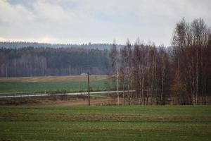 Herbstlandschaft mit grünen Weiden und Waldbäumen ohne Blätter mit hellem Himmel oben foto