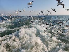 schöne natürliche Szene foto