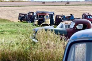 eine Reihe beschädigter Lastwagen auf einem Feld foto