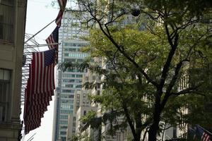 amerikanische Flaggen in der 5th Avenue New York City foto