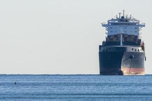 Orca Killerwal im Mittelmeer in der Nähe von Containerschiffen foto