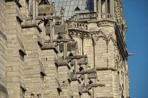 notre dame paris statuen und wasserspeier foto