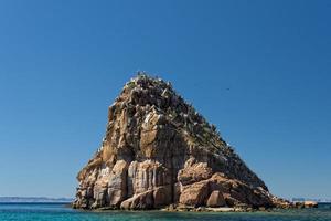 baja california strand kristallwasser weiß tropisches paradies panorama foto