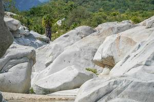 River Creek White Stones in San Dionisio in Sierra de la Laguna Baja California Sur Mexiko foto