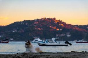 Zihuatanejo-Strandlandschaft in Guerrero foto