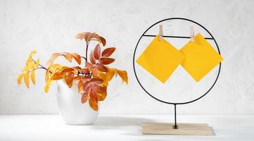 Runder Metallständer mit gelben leeren Blättern für Text und Herbstblätter in Vase auf Weiß. Platz kopieren. foto