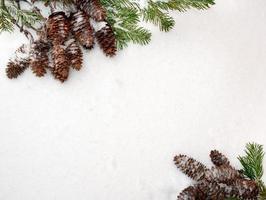 Weihnachtshintergrund. Fichtenzweige und Zapfen, einander gegenüber, auf dem weißen Schnee. foto