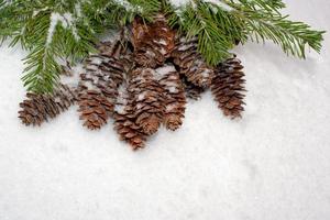 Weihnachtshintergrund. Fichtenzweige und Zapfen auf Schnee. foto