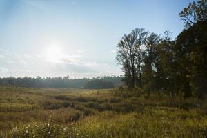 Landschaft im Khao Yai Nationalpark foto