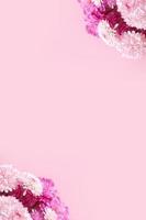 rosa und magentafarbene chrysanthemenblumen auf rosa vertikalem hintergrund mit kopienraum foto