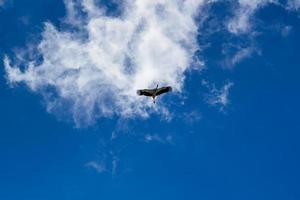 Storch, der im blauen Himmel mit weißen Wolken aufsteigt foto