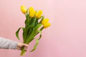 Frauenhand mit einem Strauß gelber Tulpen auf rosa Hintergrund