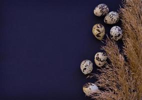 Ostereier auf dunklem Hintergrund mit Pampasgras. flache Lage, Draufsicht. das konzept der osterferien. foto