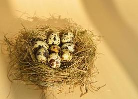 Frühlings-Oster-Grußkarte mit Wachteleiern in einem Nest auf beigem Hintergrund. gesundes Essen. foto