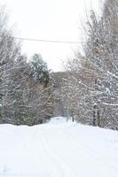 schneebedeckter weg im winterwald foto