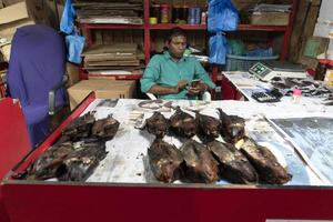 männlich, malediven - februar, 23. 2019 - leute, die auf dem fischmarkt kaufen foto