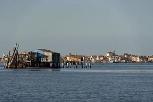 Muschelzucht in Chioggia Italien foto