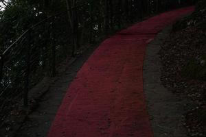 Roter Teppich in Portofino foto